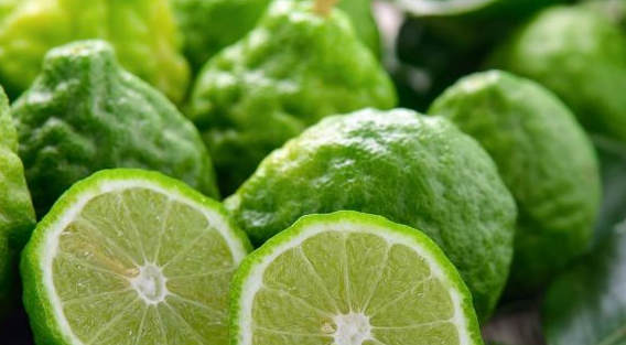 Bergamot Essential Oil